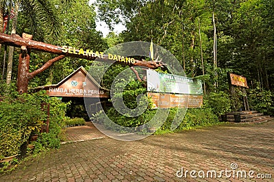 Perlis Herbal Forest Editorial Stock Photo